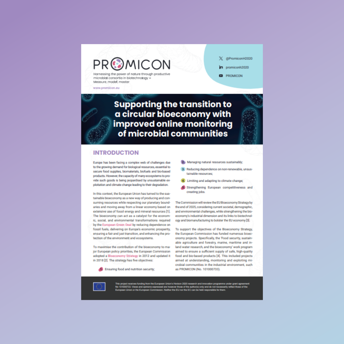 Supporting the Transition to a Circular Bioeconomy with Improved Online Monitoring of Microbial Communities